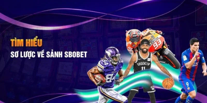 Sơ lược thông tin về sảnh cược hấp dẫn SBOBET Bwing